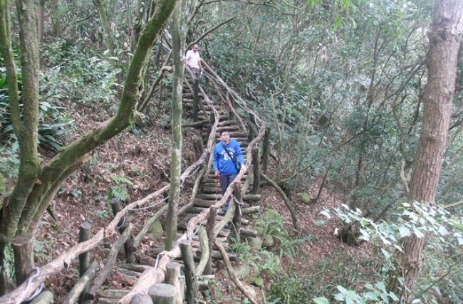 大坑步道挑戰 大坑步道挑戰