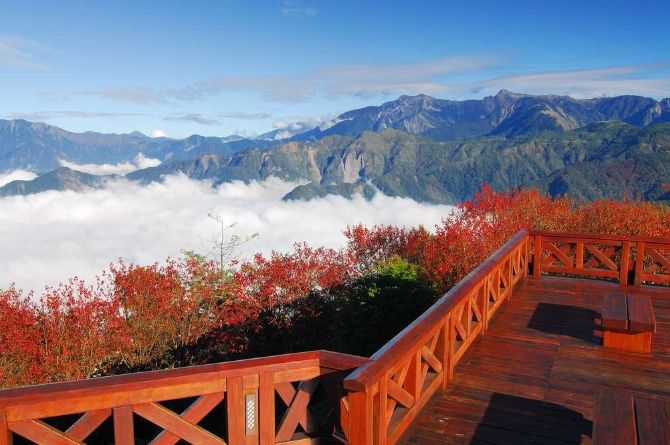 小笠原山日出接駁車