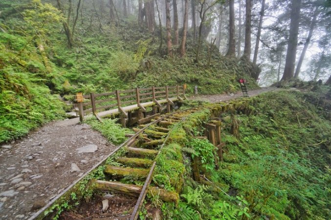 宜蘭森林步道推薦 宜蘭森林步道推薦