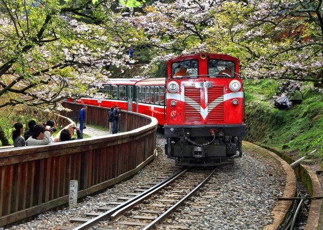 阿里山旅遊