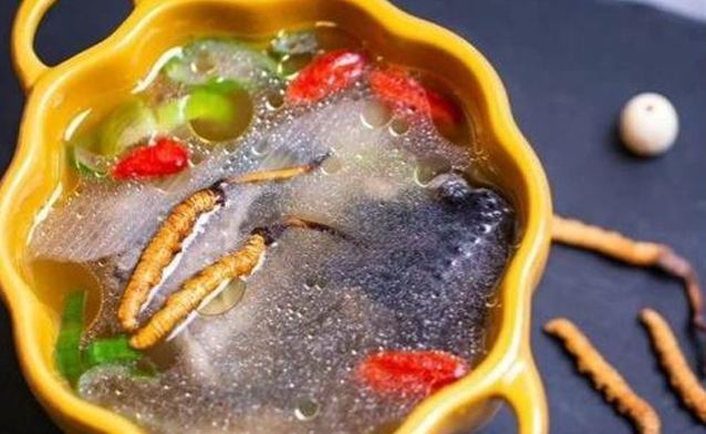 冬蟲夏草服用頻率