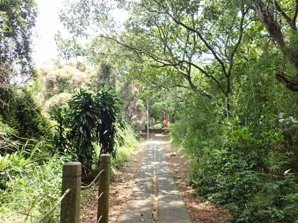 老崎古道路線 老崎古道路線