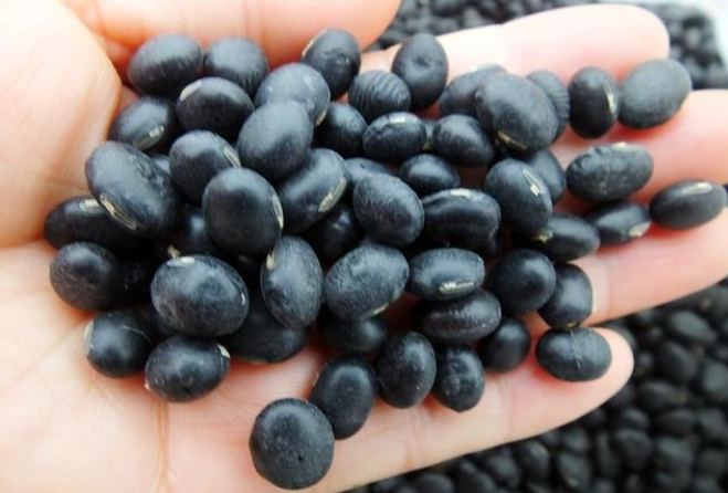 長期吃黑豆好處