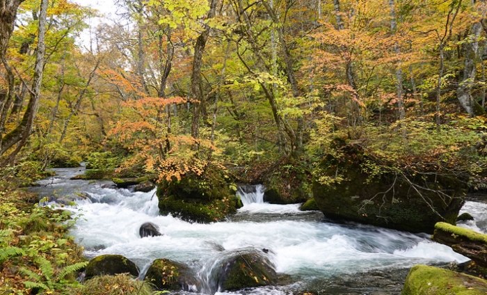 奧入瀨溪景點地圖