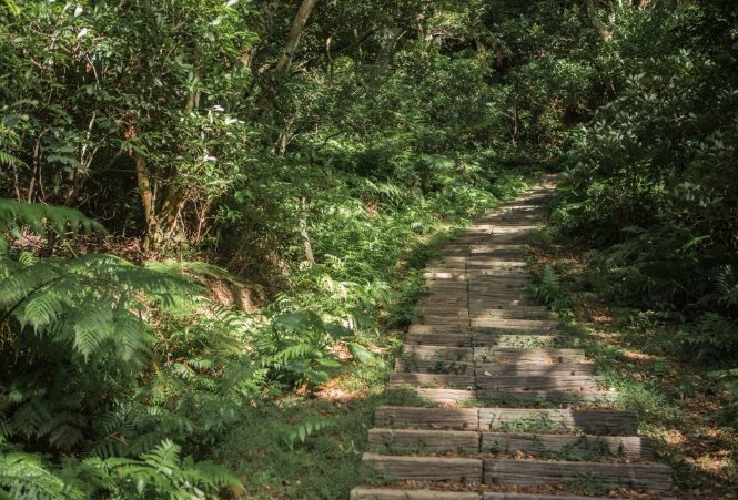 羊稠步道健行