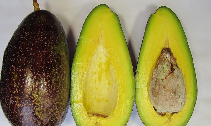 省時早餐準備 省時早餐準備