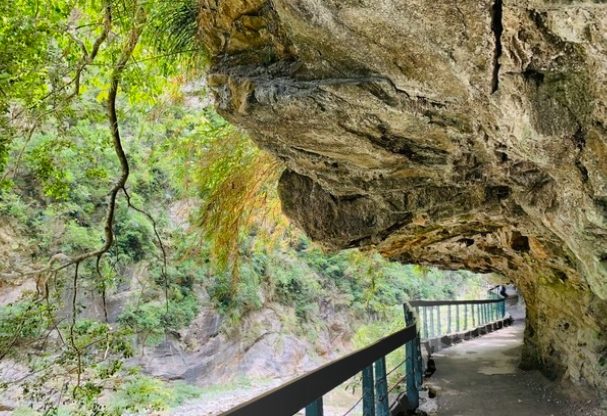 砂卡礑步道怎麼去