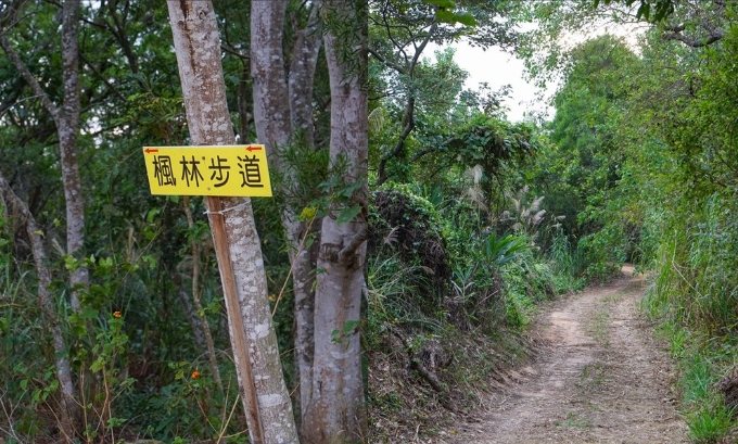 頭份登山步道 頭份登山步道