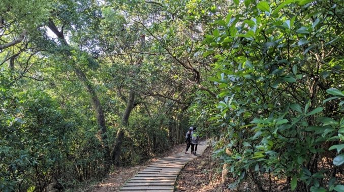 羊稠坑步道挑戰 羊稠坑步道挑戰