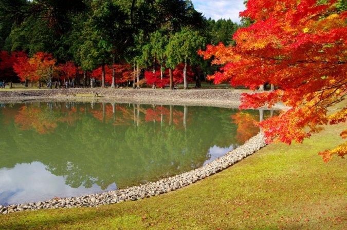 毛越寺紅葉季節 毛越寺紅葉季節