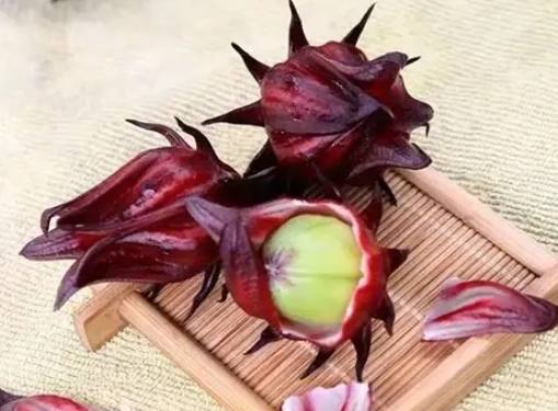 洛神花茶生理期 洛神花茶生理期