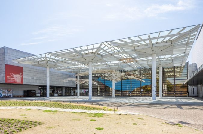 大板博物館 門票