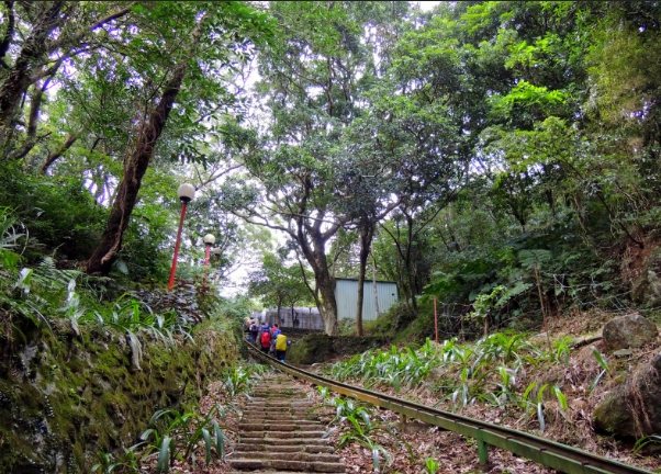 陽明山古道健行 陽明山古道健行