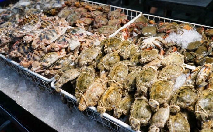 泰式料理吃到飽 泰式料理吃到飽