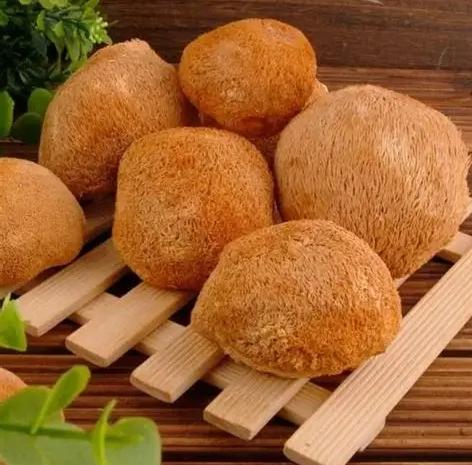 猴頭菇食用方法 猴頭菇食用方法