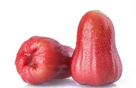 蓮霧不甜怎麼辦？10種實用解決方法與挑選技巧全攻略