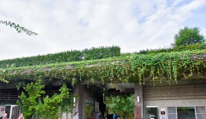 林後四林交通 林後四林交通