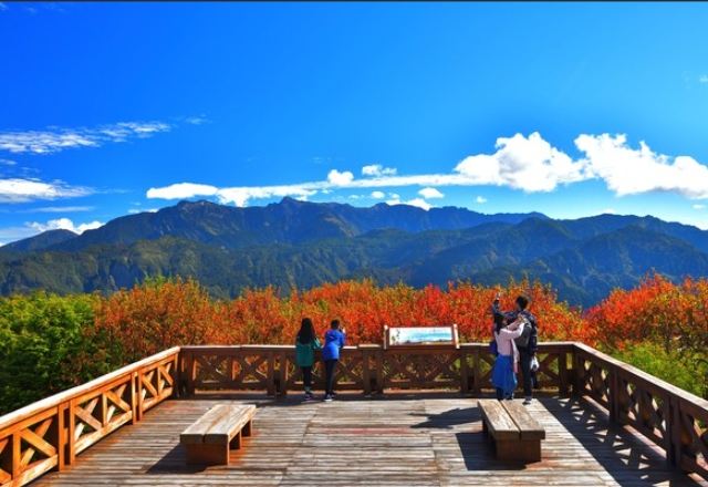 小笠原山觀景台路線 小笠原山觀景台路線