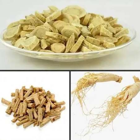 黃芪黨參泡水功效