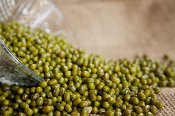 綠豆減肥副作用 綠豆減肥副作用
