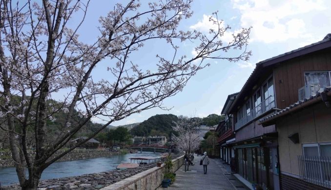 宇治公園 旅遊攻略 宇治公園 旅遊攻略