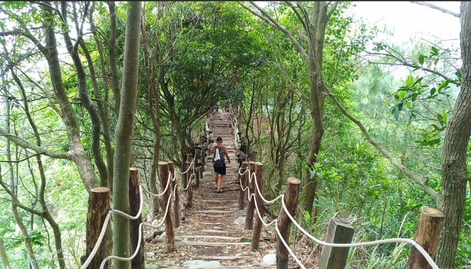 台中登山步道維護