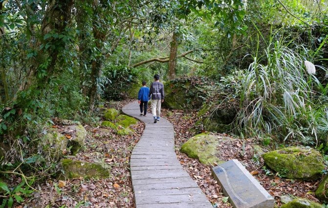 南庄護魚步道怎麼去