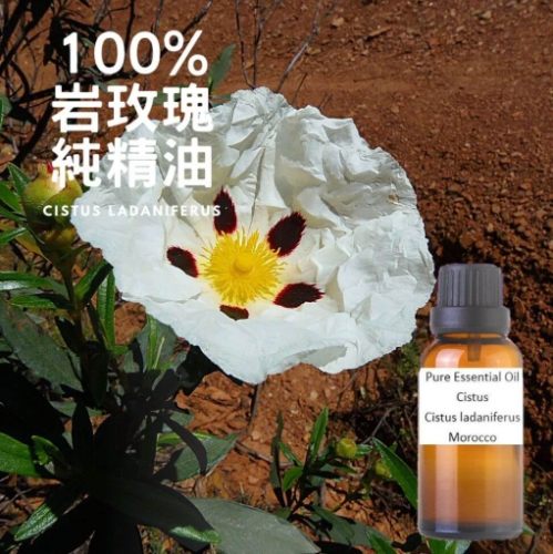 岩玫瑰精油推薦 岩玫瑰精油推薦