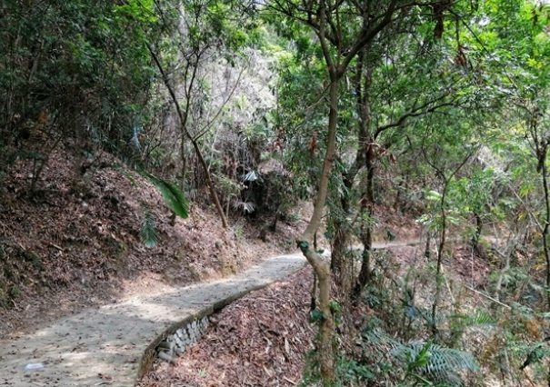 草屯虎山步道交通 草屯虎山步道交通
