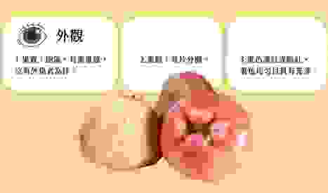 蓮霧種植技巧 蓮霧種植技巧