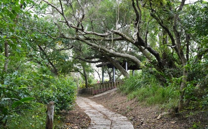 老崎古道歷史 老崎古道歷史