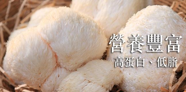 新鮮猴頭菇選購