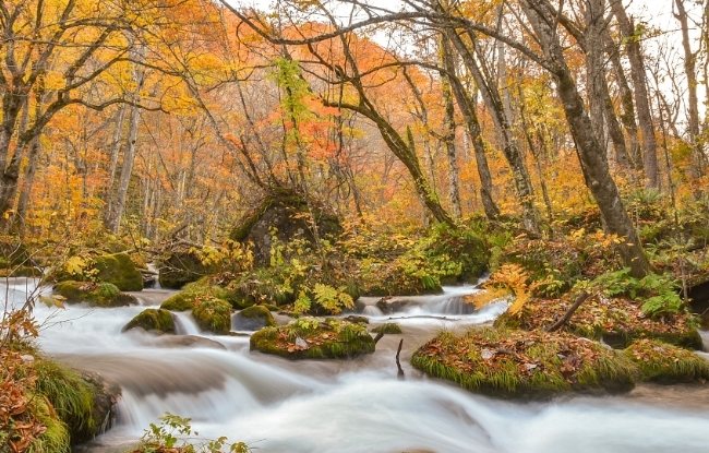 奧入瀨溪景點