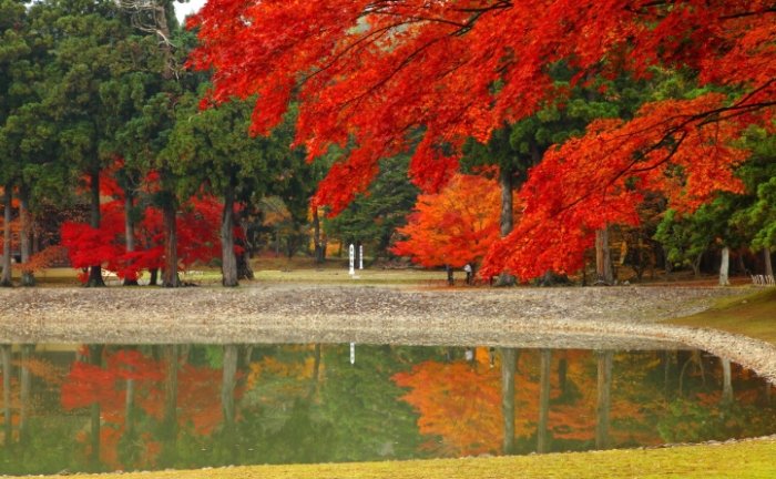 毛越寺旅遊 毛越寺旅遊