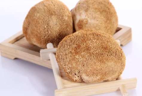 猴頭菇健康益處 猴頭菇健康益處