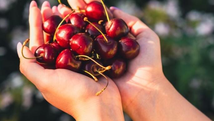 櫻桃汁褪黑激素