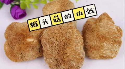 猴頭菇健康益處 猴頭菇健康益處