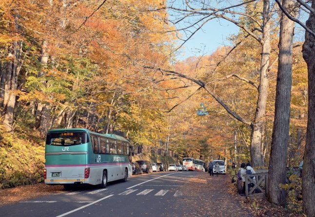 奧入瀨溪流自駕