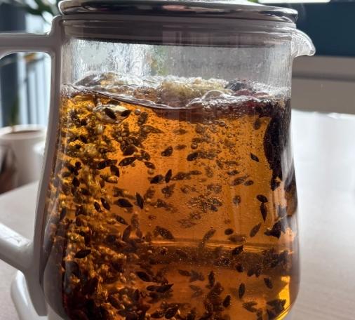 決明子麥茶做法 決明子麥茶做法