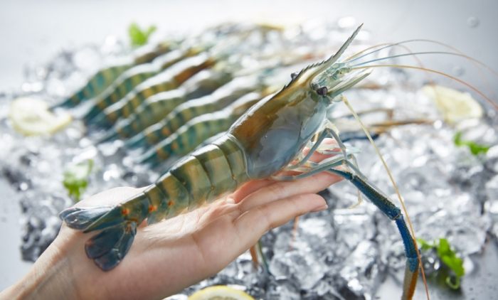 屏東里港美食 屏東里港美食