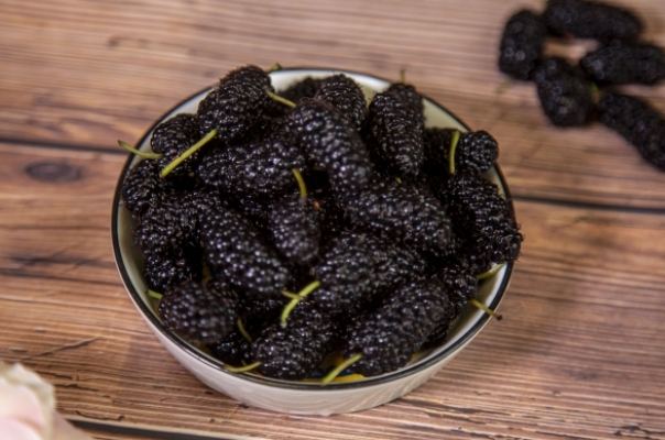 桑葚干副作用 桑葚干副作用