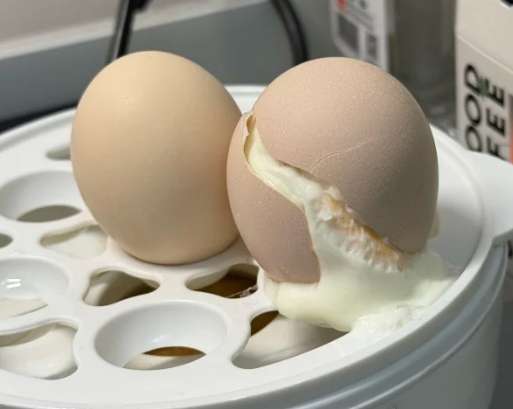 電鍋蒸水煮蛋時間 電鍋蒸水煮蛋時間