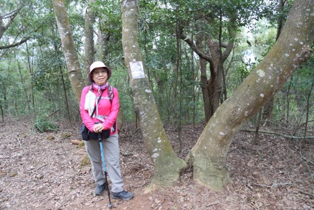 台灣健行步道推薦