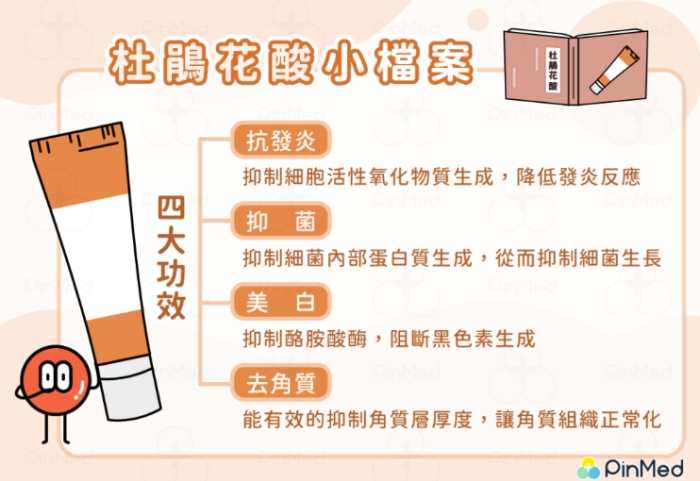 杜鵑花酸爆痘期多久？完整解析持續時間與實用應對指南