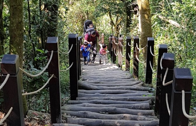 大坑步道挑戰 大坑步道挑戰