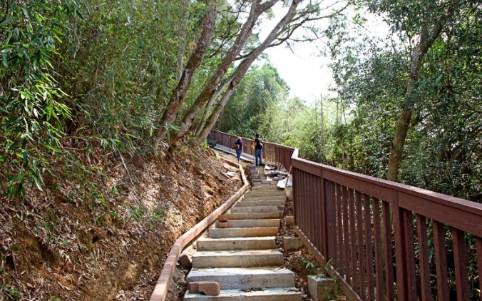 頭份登山步道 頭份登山步道