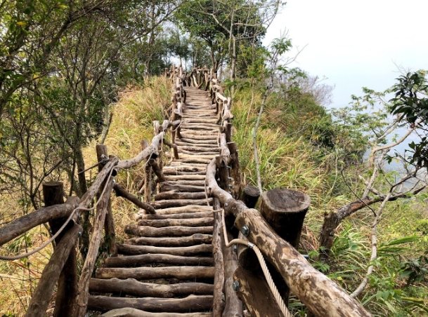 台中步道推薦