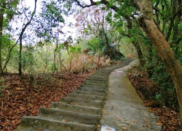 虎山步道難度 虎山步道難度