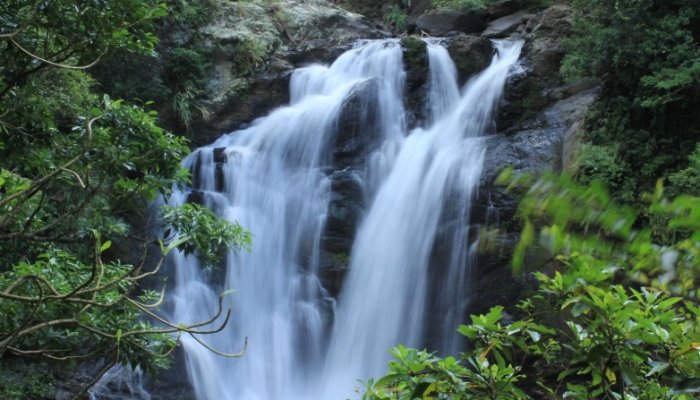 雙流森林遊樂區旅遊攻略 雙流森林遊樂區旅遊攻略