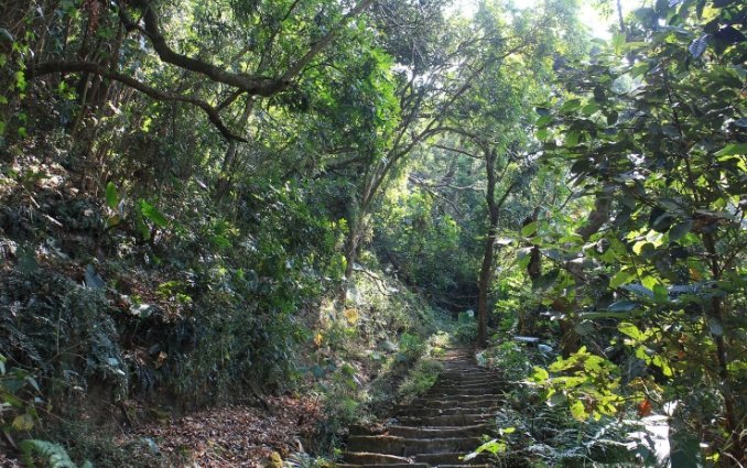 龍麟山步道關閉 龍麟山步道關閉